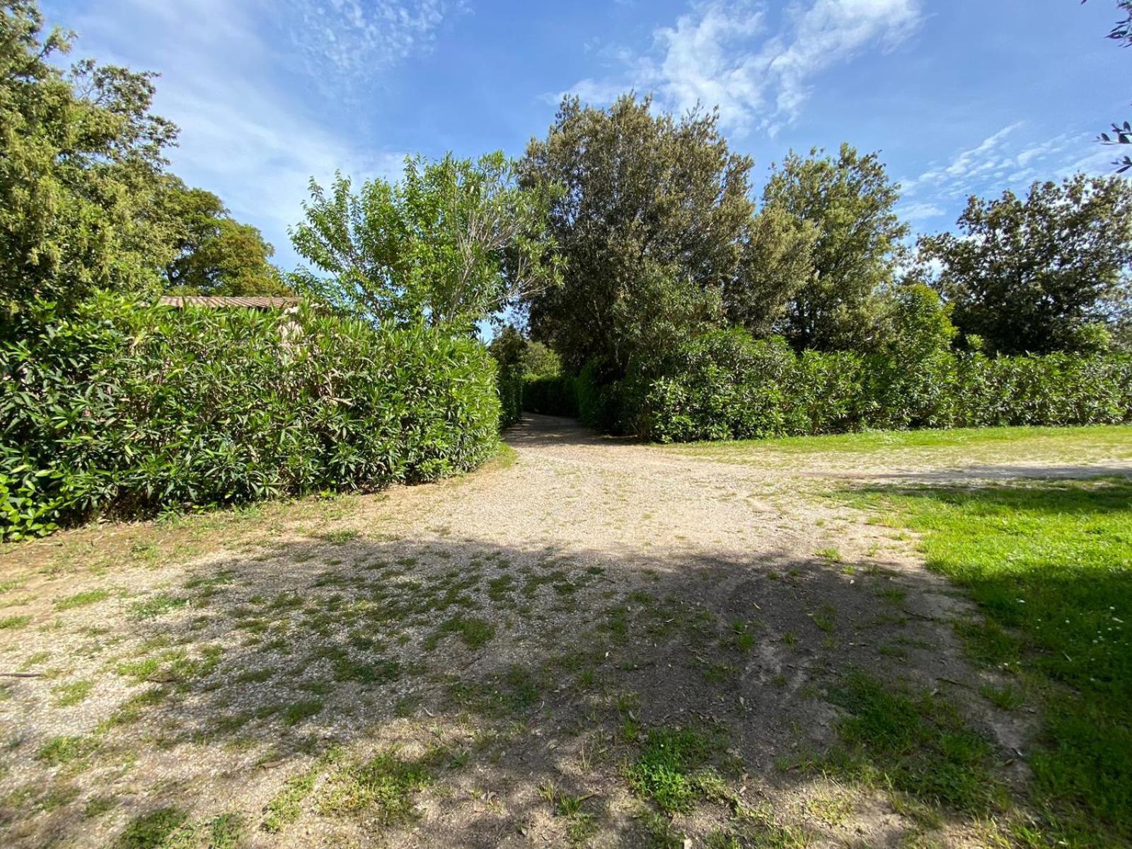 Villa La Casa Rosa à Castagneto Carducci Extérieur photo